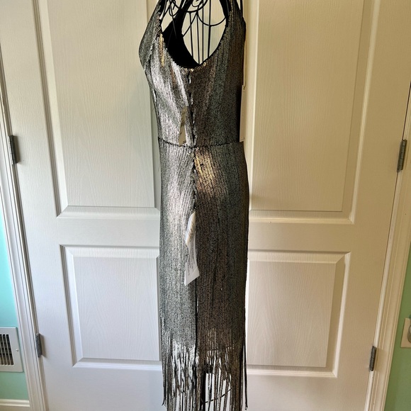 Brand new with tag ! Dress the population silver fringe dress - Picture 4 of 8